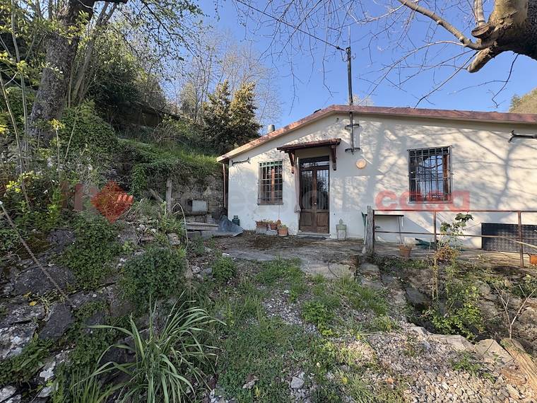 Casa d'Albiano, rustic farmhouse in Barga